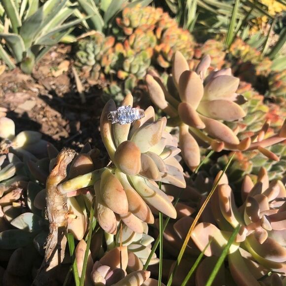 💍Gorgeous CZ Wedding set - Picture 7 of 7